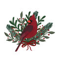Image Not Available